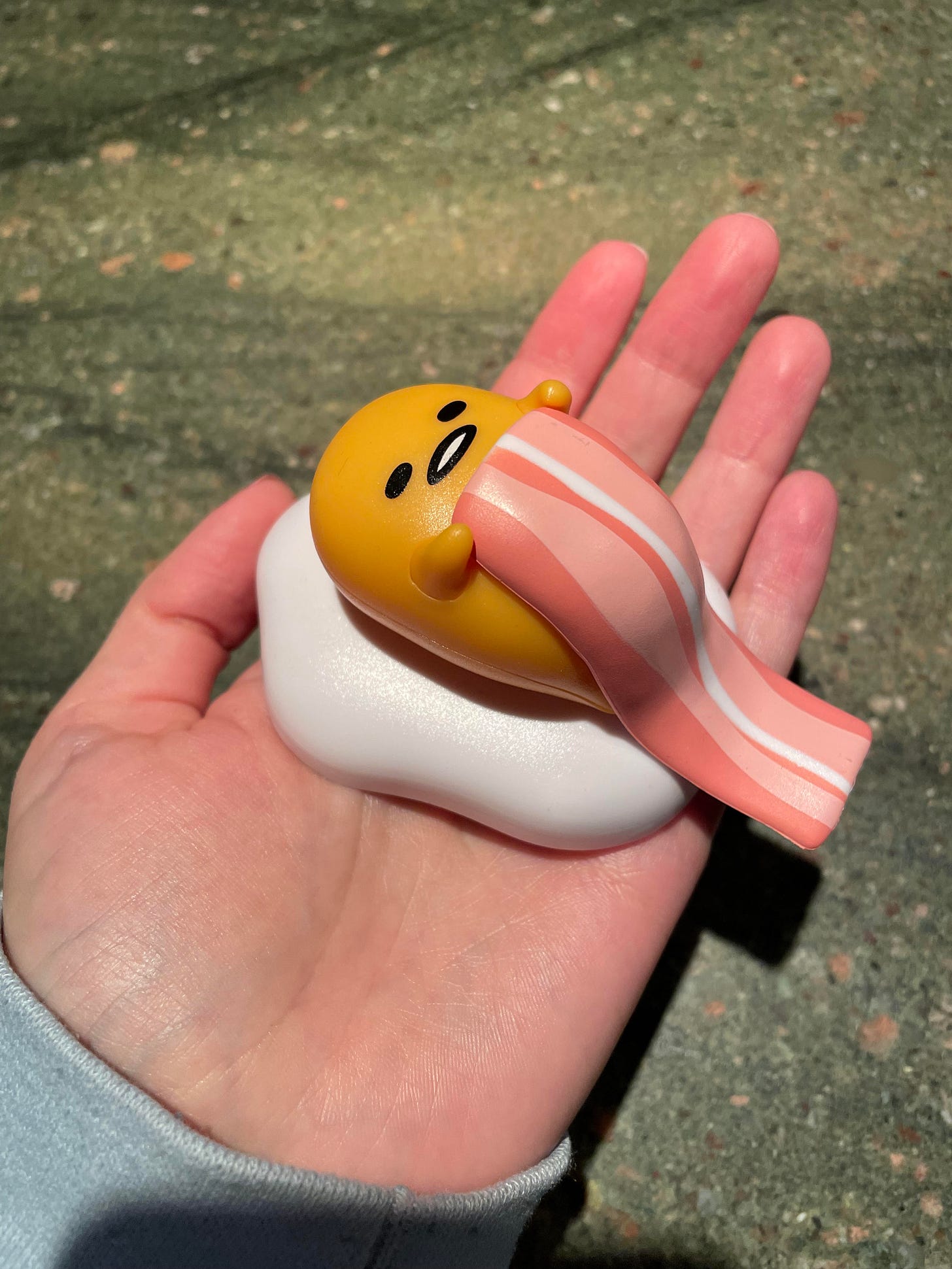 Image of Ava's hand holding a cute little egg figuring with a piece of bacon over it like a blanket.