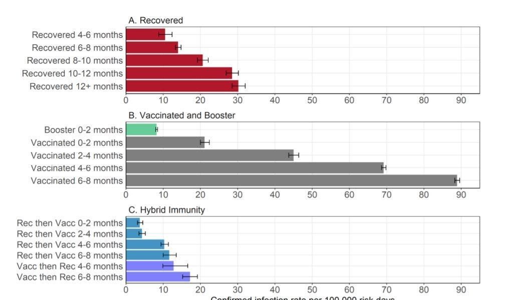 boriquagato.substack.com