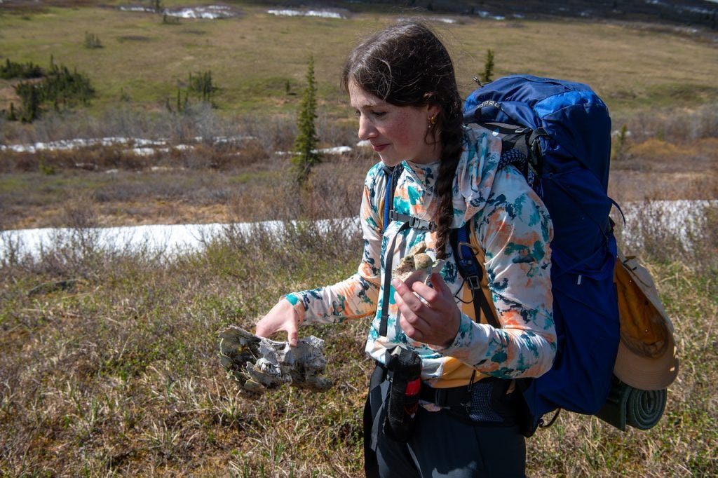 A woman in a floral sun shirt with a blue backpack examines a weathered, bleached bone she holds in both hands, tundra and a snow patch behind her.