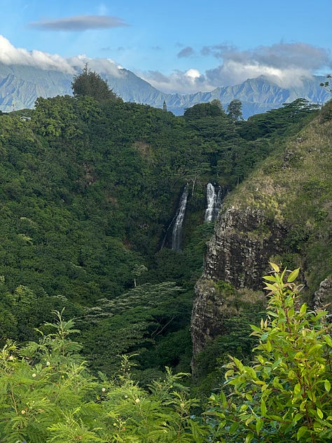Kauai trip - June 2025
