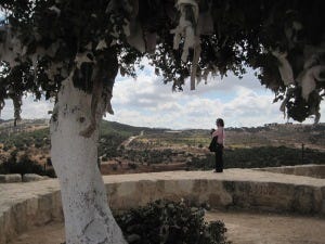 Elisa under the Elijah tree atop Tell Mar Eliyas.