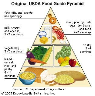 Food pyramid | Origins, History, Variations, Debates, & Facts ...