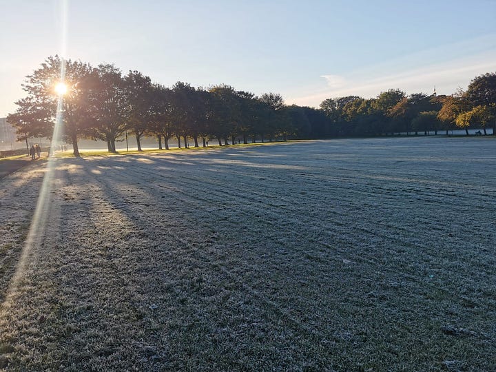 An image of heather and a white flower in Scottish summer, beside a sunny, frosty day at the start of winter.