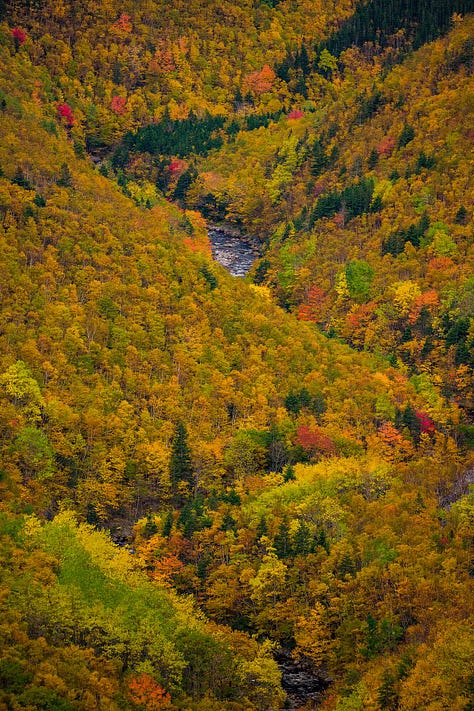 Cape Breton Fall Colors Photography Workshop