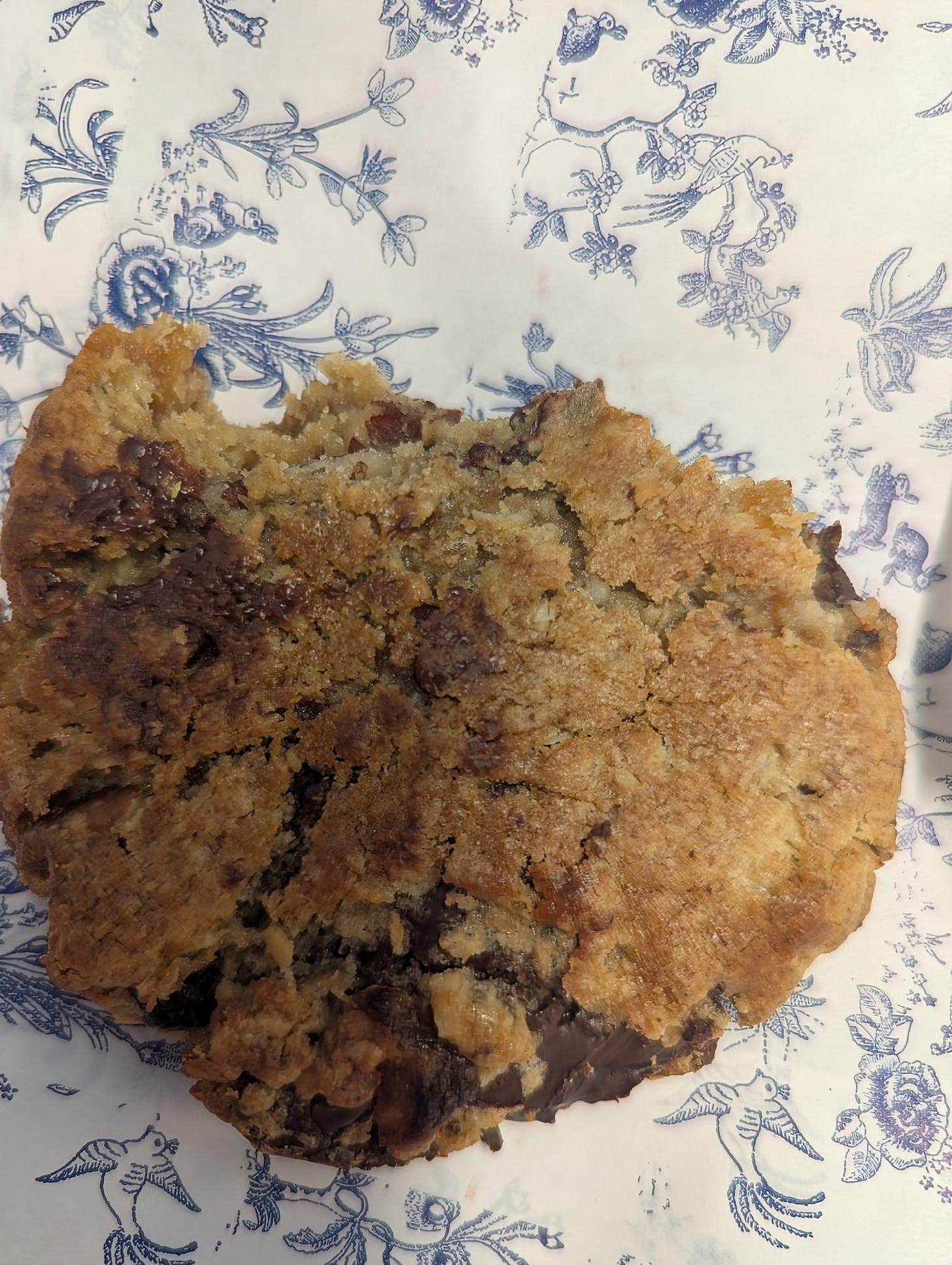 Cookie against blue and white paper Cookie against blue and white paper