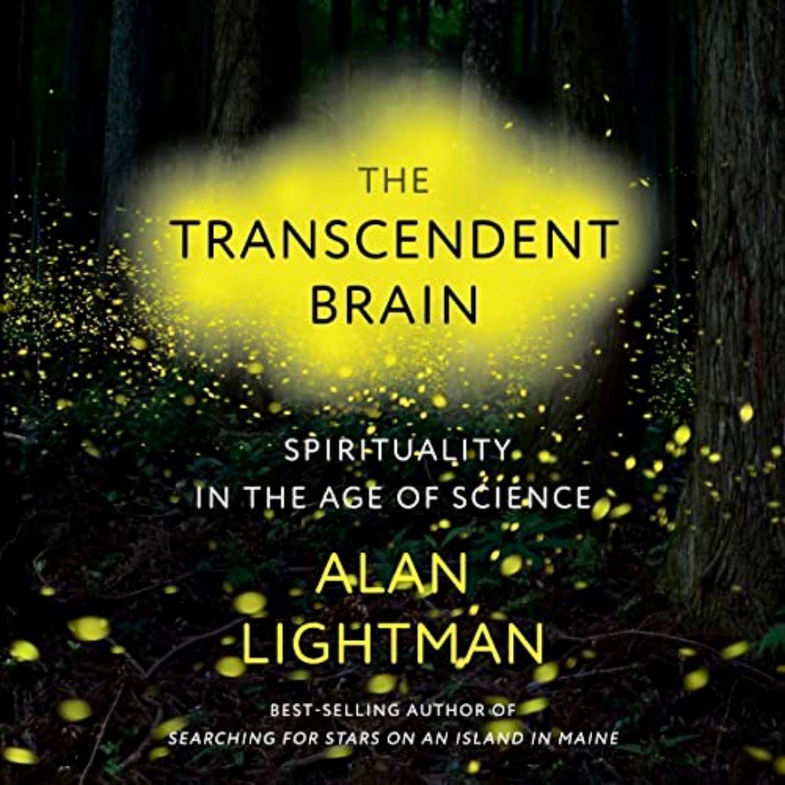 The Transcendent Brain: Spirituality in the Age of Science