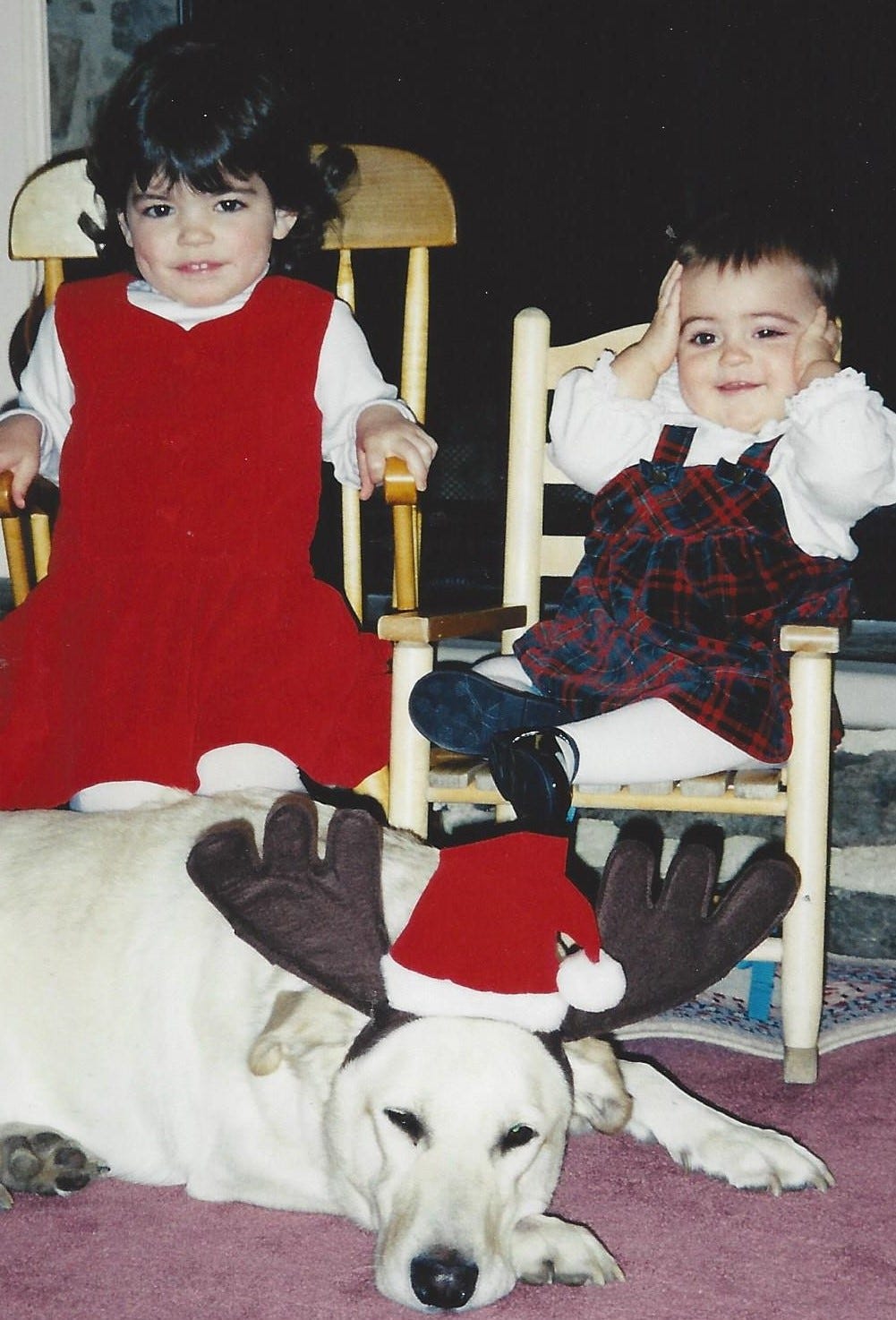 Two toddler girls in Christmas dresses are sitting in little rocking chairs, with a yellow Labrador retriever with reindeer antlers laying in front of them. The older girl looks unhappy and the younger girl has her hands on her face and looks perplexedlittler on Two toddler girls in Christmas dresses are sitting in little rocking chairs, with a yellow Labrador retriever with reindeer antlers laying in front of them. The older girl looks unhappy and the younger girl has her hands on her face and looks perplexedlittler on