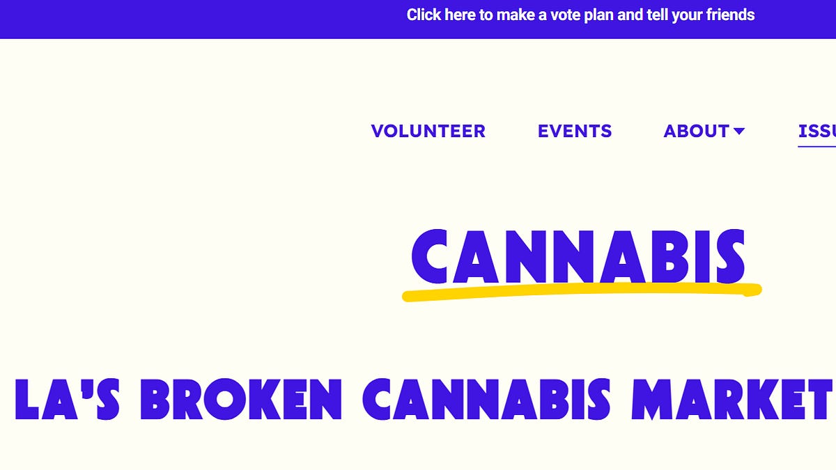 “She Has an Actual Plan”: How Nithya Raman Is Getting the L.A. Cannabis Crowd Fired Up