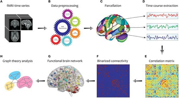 Frontiers | Application of Graph Theory for Identifying ...