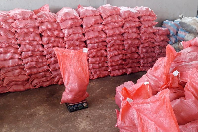 Zatwa's coconuts ready to be exported. Zatwa's coconuts ready to be exported.