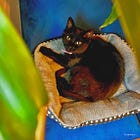 Iron Sharpens Iron: Visiting my bestie in Tennessee! 