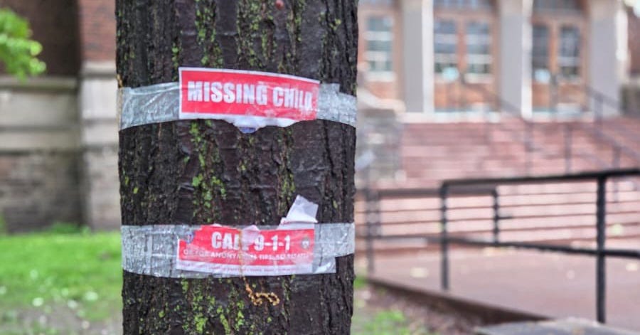 May be an image of tree and text May be an image of tree and text