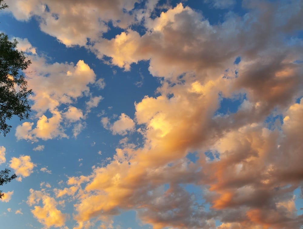 buttery, yellow and white clouds against a deep blue sky with tree branches at edge of frame