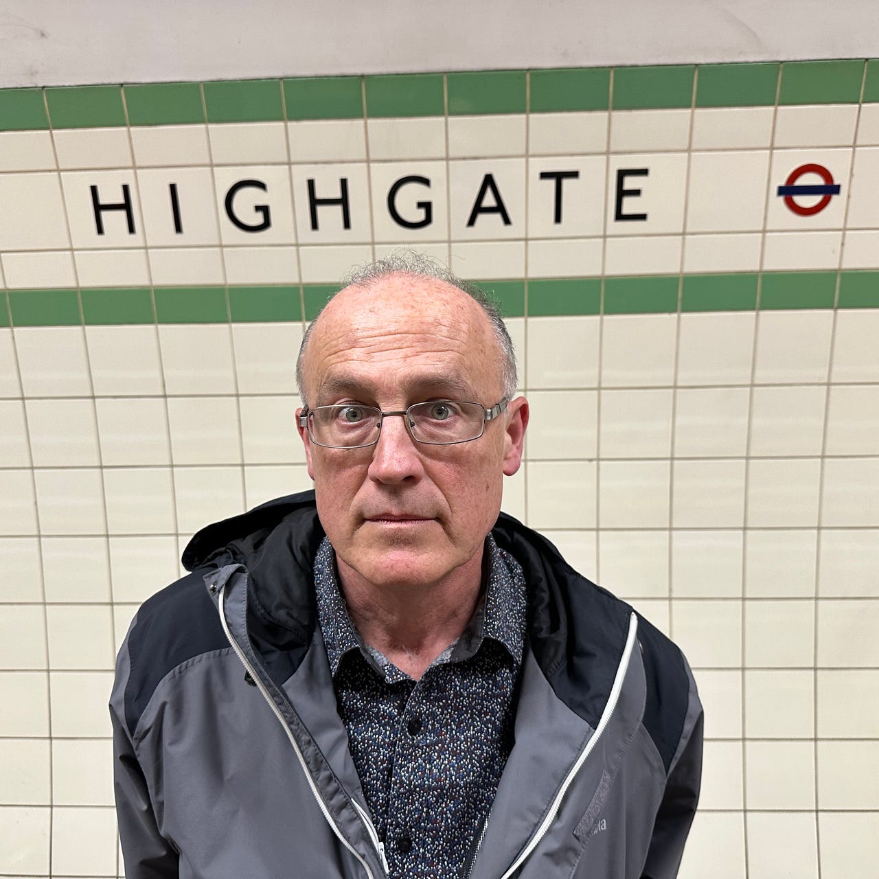 Making Friends With Wild Dogs