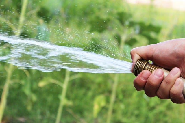 Best Garden Hoses For 2022 A Gardener's Path Buying Guide, 56% OFF