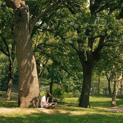 This may contain: a person sitting on the ground next to a tree in a park with green grass