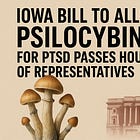 Magic Mushrooms, Missing Safety Net