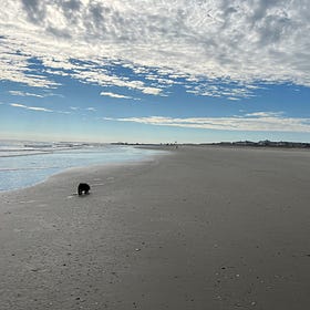 Summer 2023 Publishing Preview