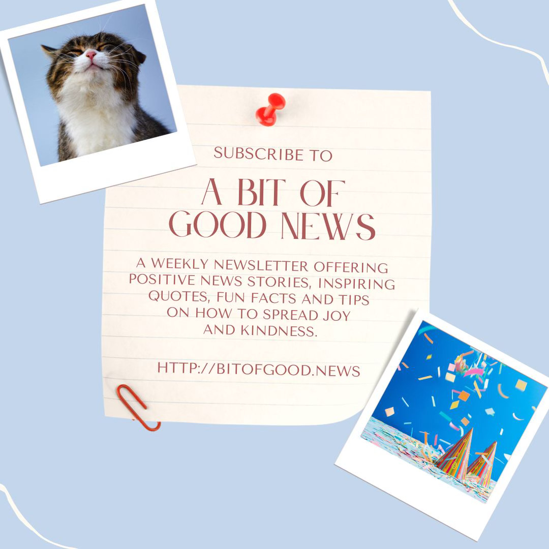 Promo for A Bit of Good News features a Polaroid of a smiling cat, a Polaroid of party hats and confetti and a notebook page encouraging people to subscribe. Promo for A Bit of Good News features a Polaroid of a smiling cat, a Polaroid of party hats and confetti and a notebook page encouraging people to subscribe.