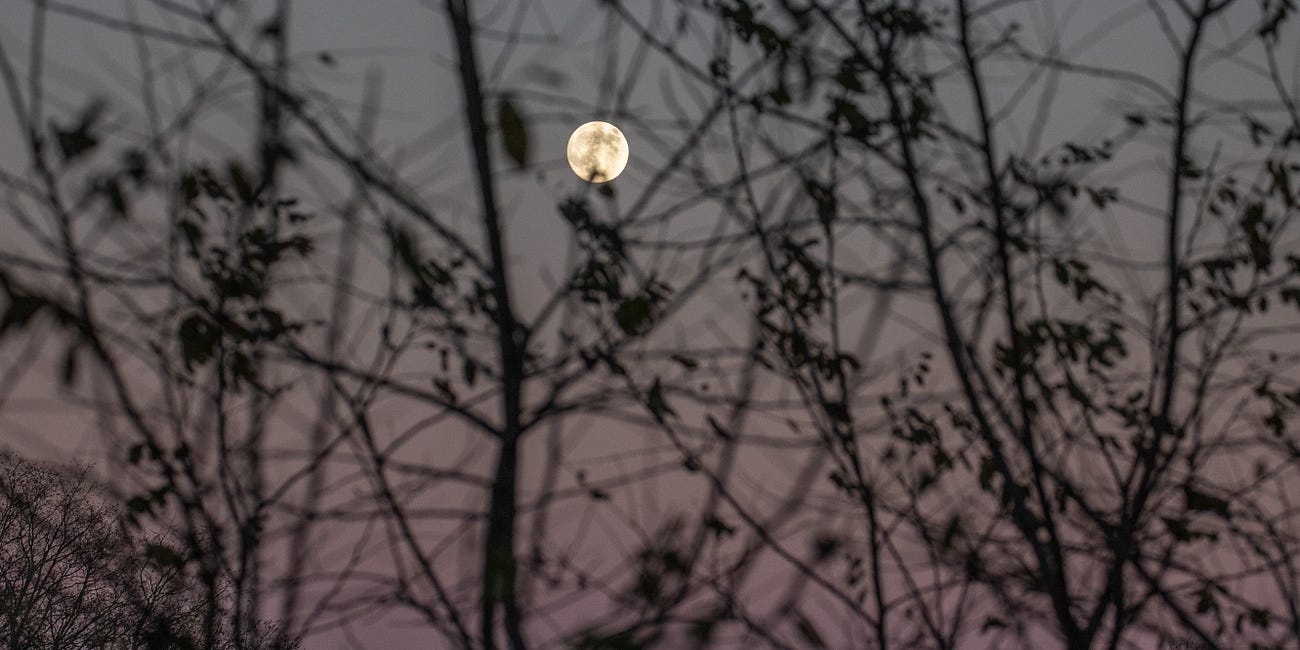 Full Moon Door