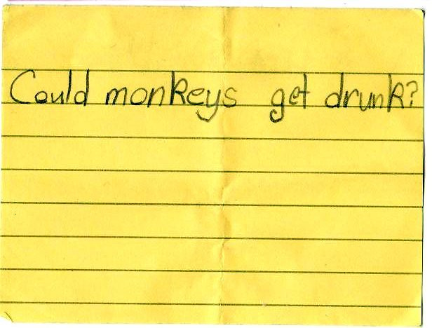 monkey