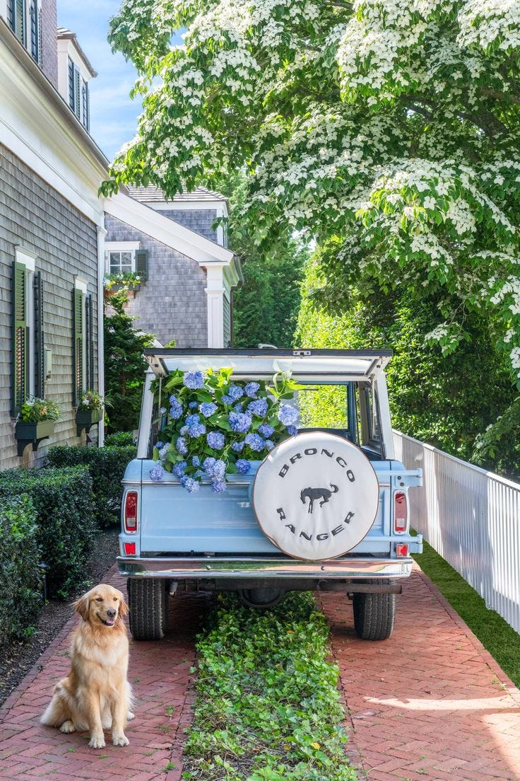 This may contain: a dog sitting in the back of a blue truck with flowers on it's bed