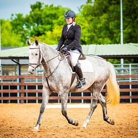 Double win for Sue and 'Lily' at Hagans Croft