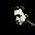 Albert Fisher's avatar