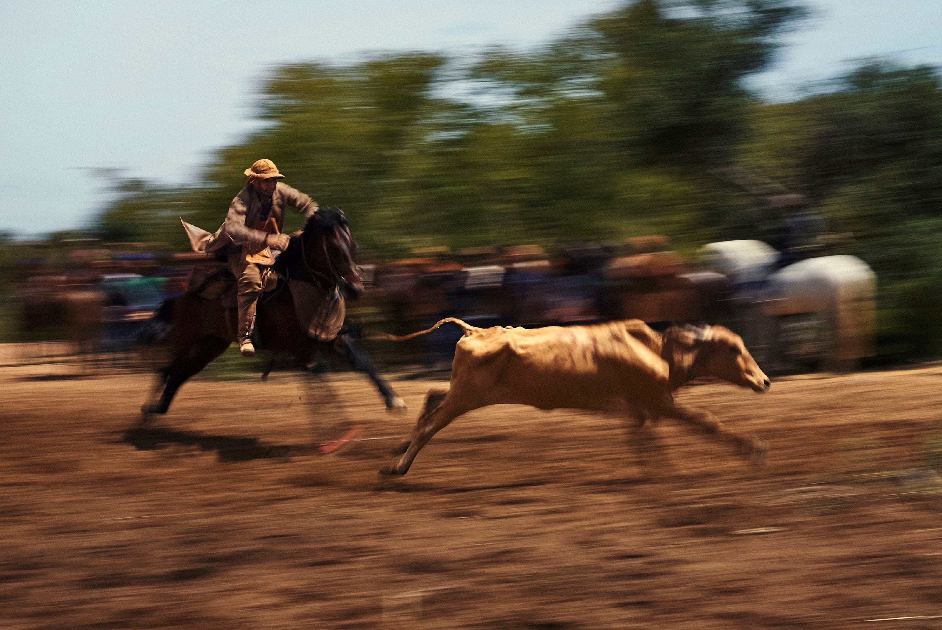 A person riding a horse chases a running bull on a dirt field, with blurred trees and spectators in the background, conveying motion and speed.