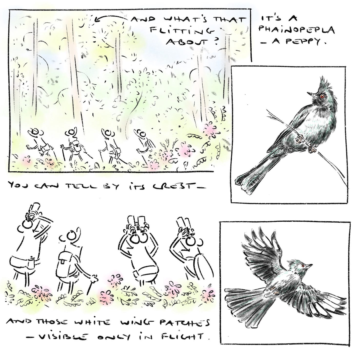 Untitled_Artwork 7.jpg