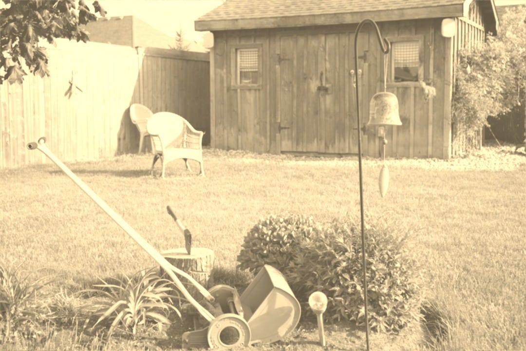 a yard with a lawn mower, garden tools and a birdhouse