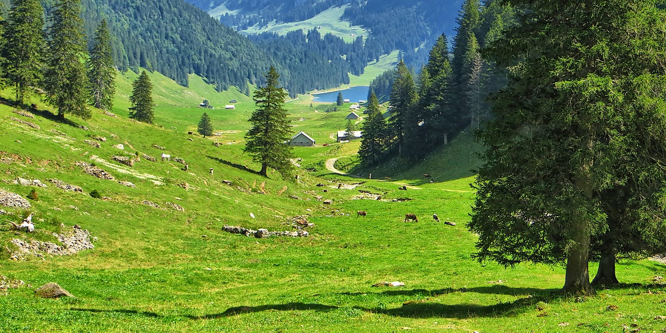 What Is the Commons—And Why Does It Matter Today?