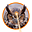 Nolin Emitrae's avatar