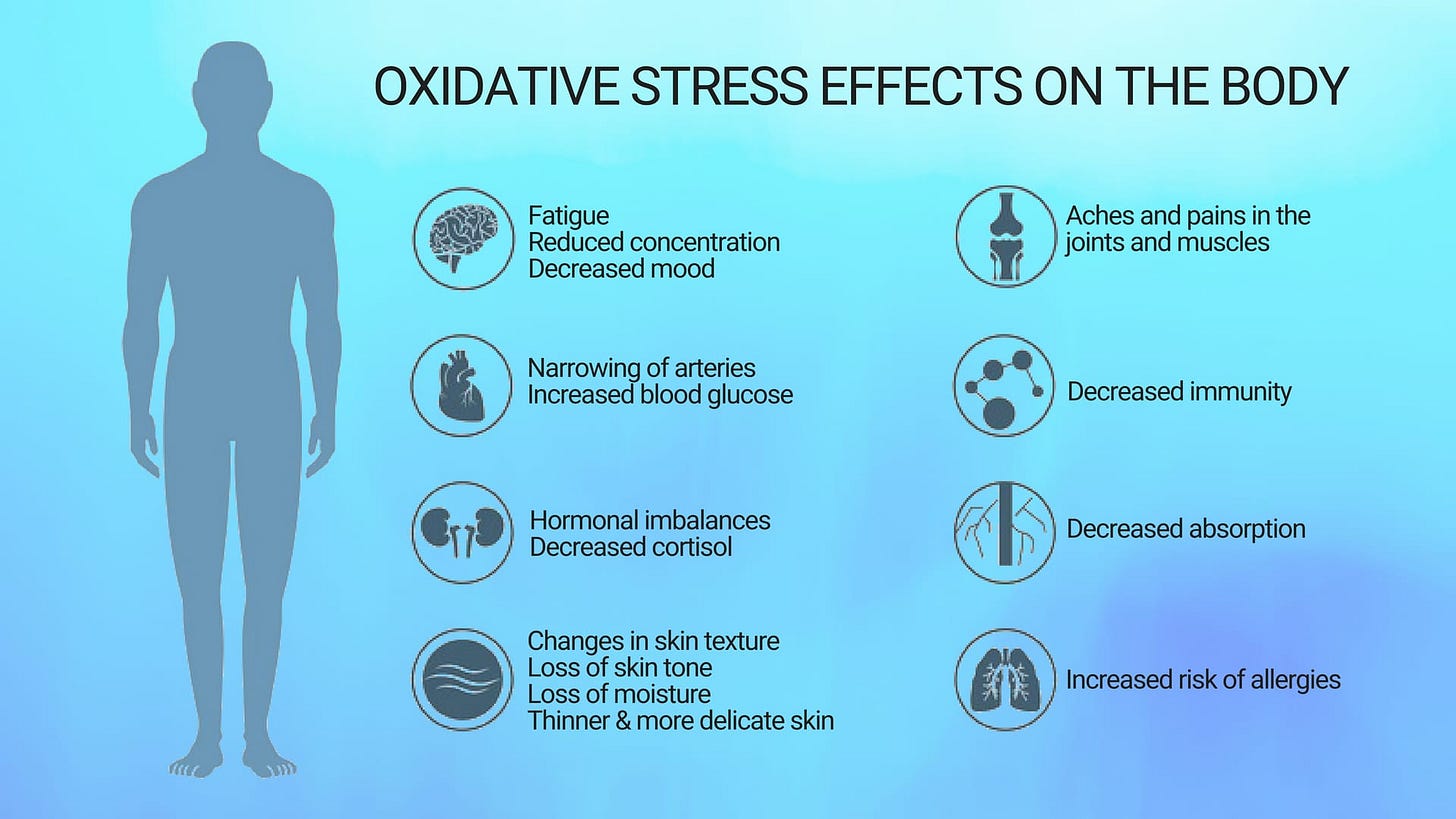Oxidative-Stress-effects-on-the-body - Amethyst Beauty Oxidative-Stress-effects-on-the-body - Amethyst Beauty