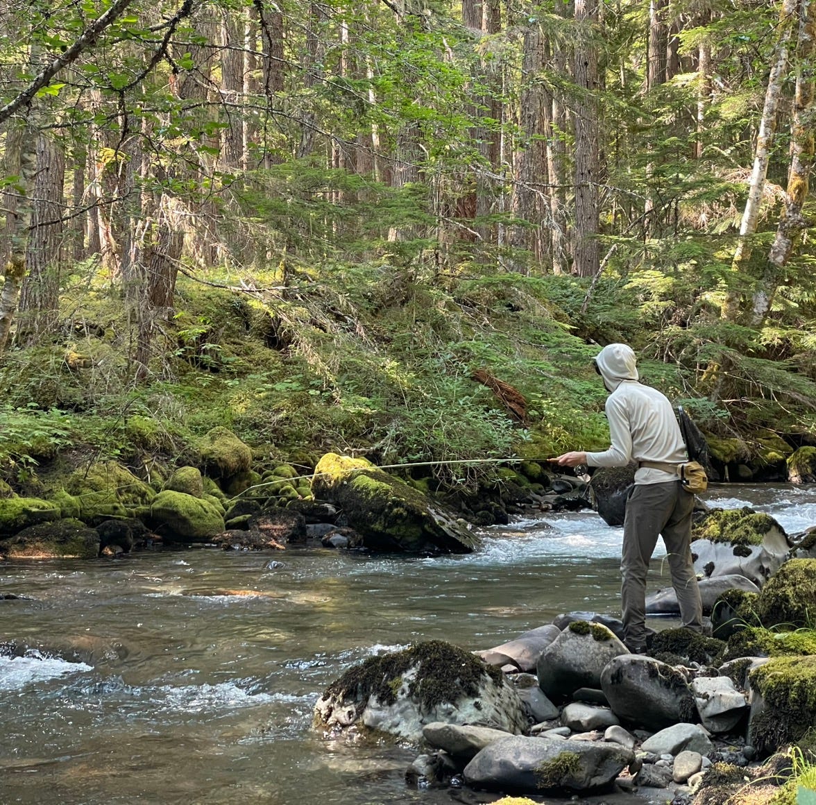 The Path Less Fly Fished