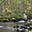 The Path Less Fly Fished's avatar
