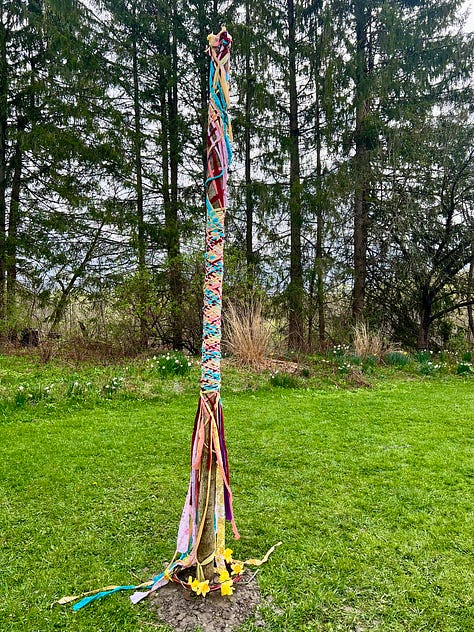 Maypole and Beltane Oatcakes with Daffodils