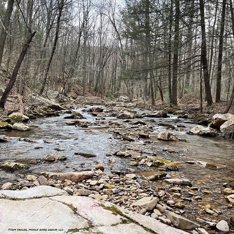 A rendering of a Virginia mountain stream in late March 2025