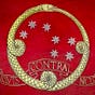 Pronomian C's avatar