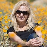 Canvas of Life by MB Volpini