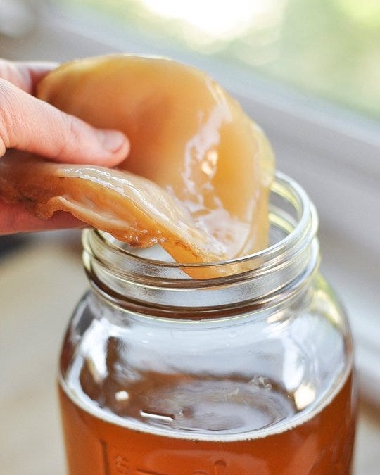 https://www.herbalteasonline.com/wp-content/uploads/2015/11/Kombucha-Scoby.jpg https://www.herbalteasonline.com/wp-content/uploads/2015/11/Kombucha-Scoby.jpg