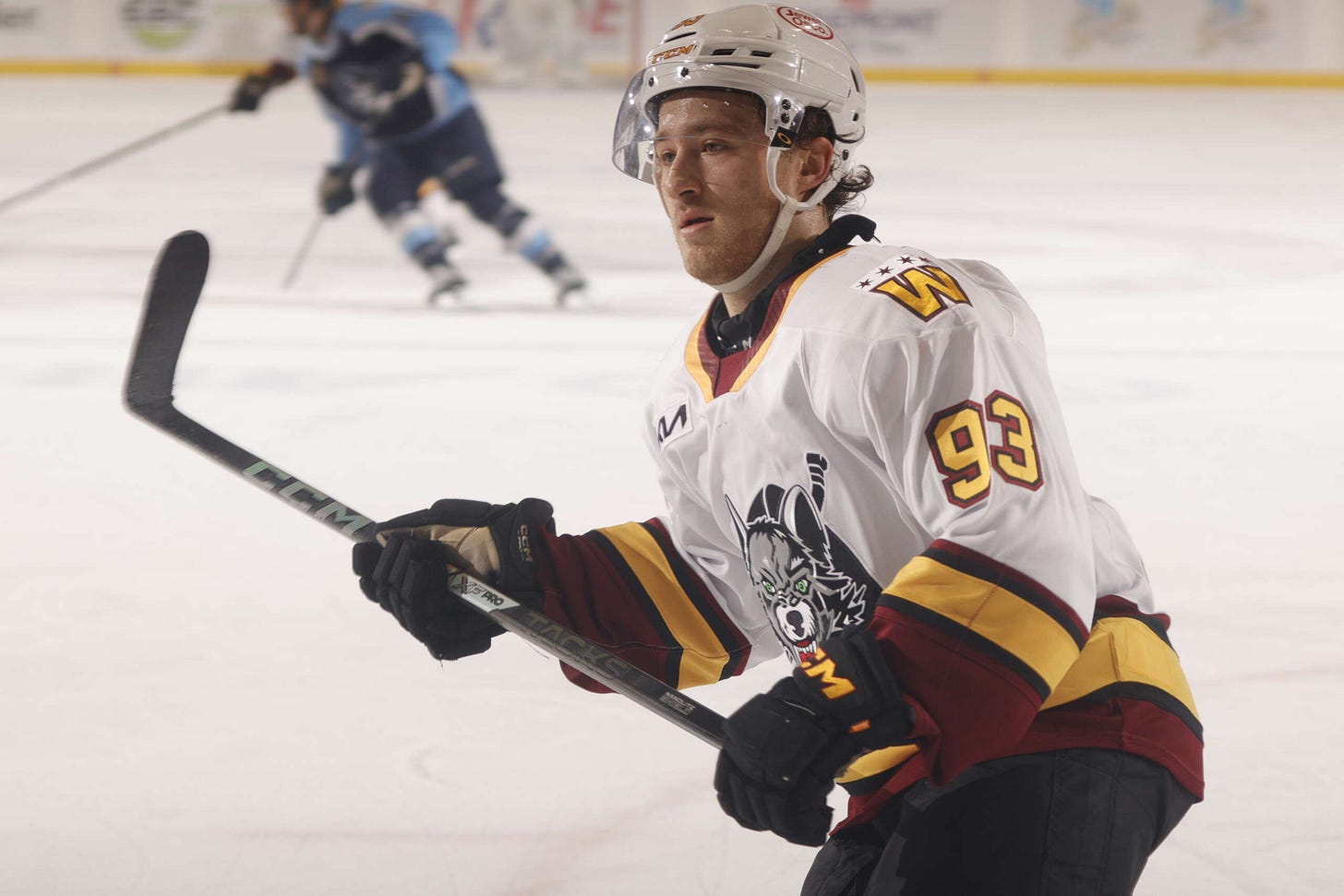 NEED FOR SPEED - Chicago Wolves