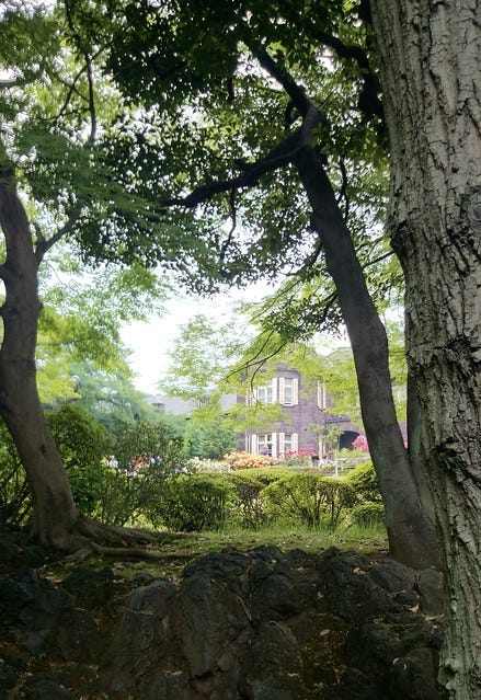 Kyu-Furukawa Garden Kyu-Furukawa Garden