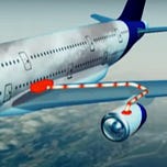 Surviving Healthcare