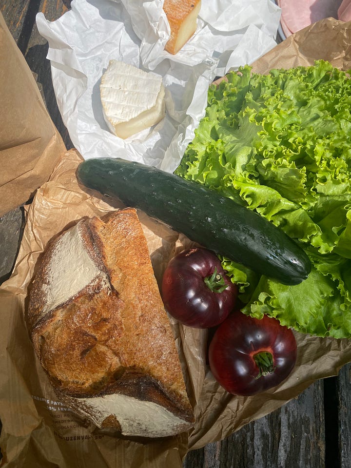 Images from my journey through France