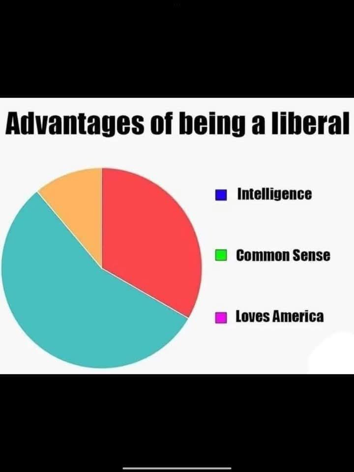 May be an image of text that says 'Advantages of being a liberal Intelligence Common Sense Loves America'