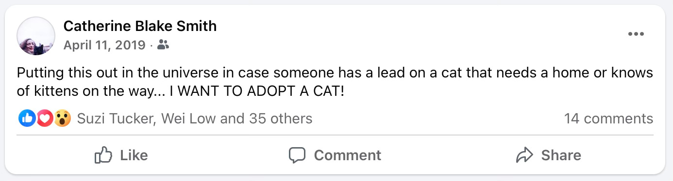 Facebook Post dated April 11, 2019: Putting this out in the universe in case someone has a lead on a cat that needs a home or knows of kittens on the way… I WANT TO ADOPT A CAT!