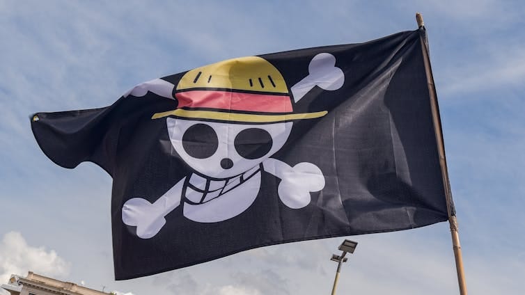 From Anime to Activism: How the 'One Piece' Pirate Flag ...