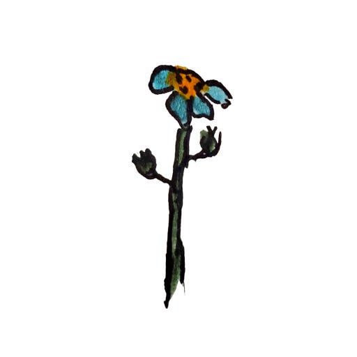 Blue Flower Book Reviews