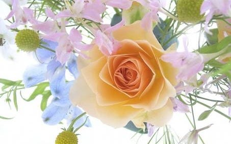 Free Flowers Stock Photos - Stockvault.net Free Flowers Stock Photos - Stockvault.net